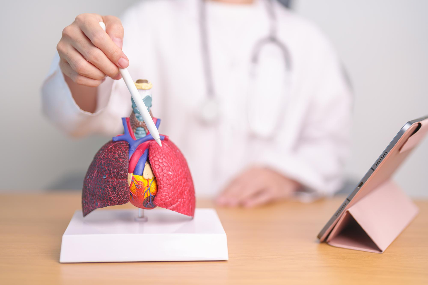 Pulmonary Artery Hypertension